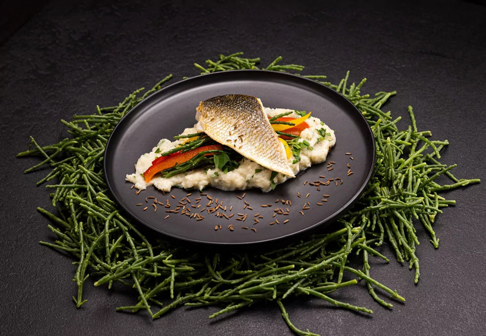 Auf der Haut gebratenes Wolfsbarschfilet mit Schwarzkümmel